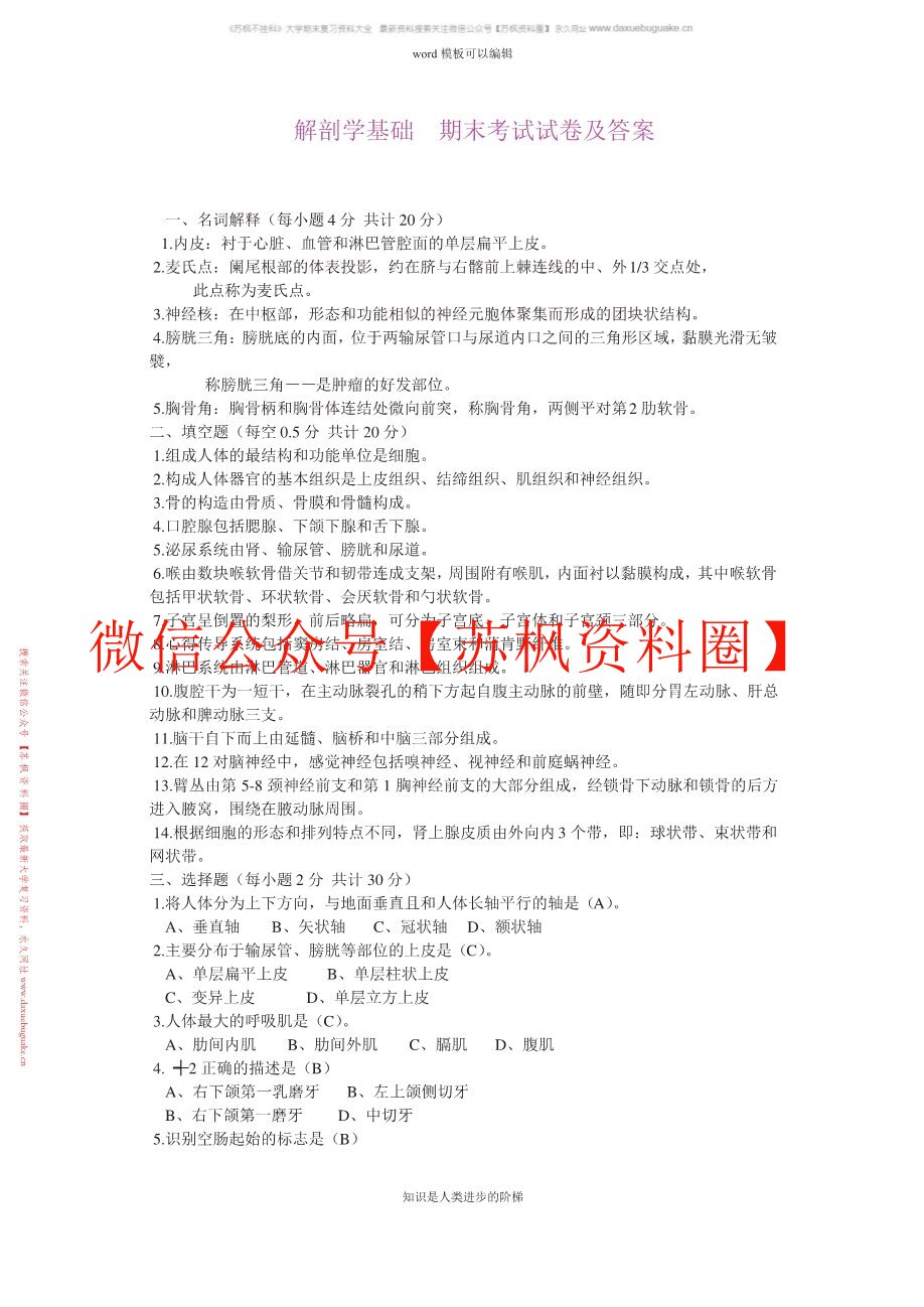 解剖学基础
